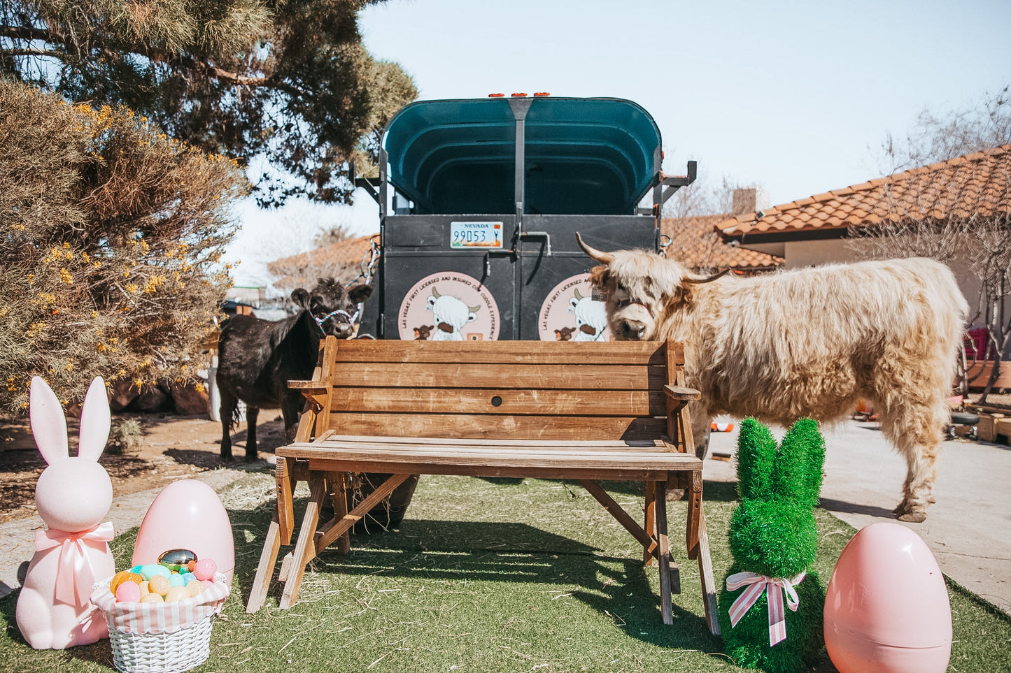Mini EASTER Cow Cuddle Photo Experience (Per Experience Up to 6 People)
