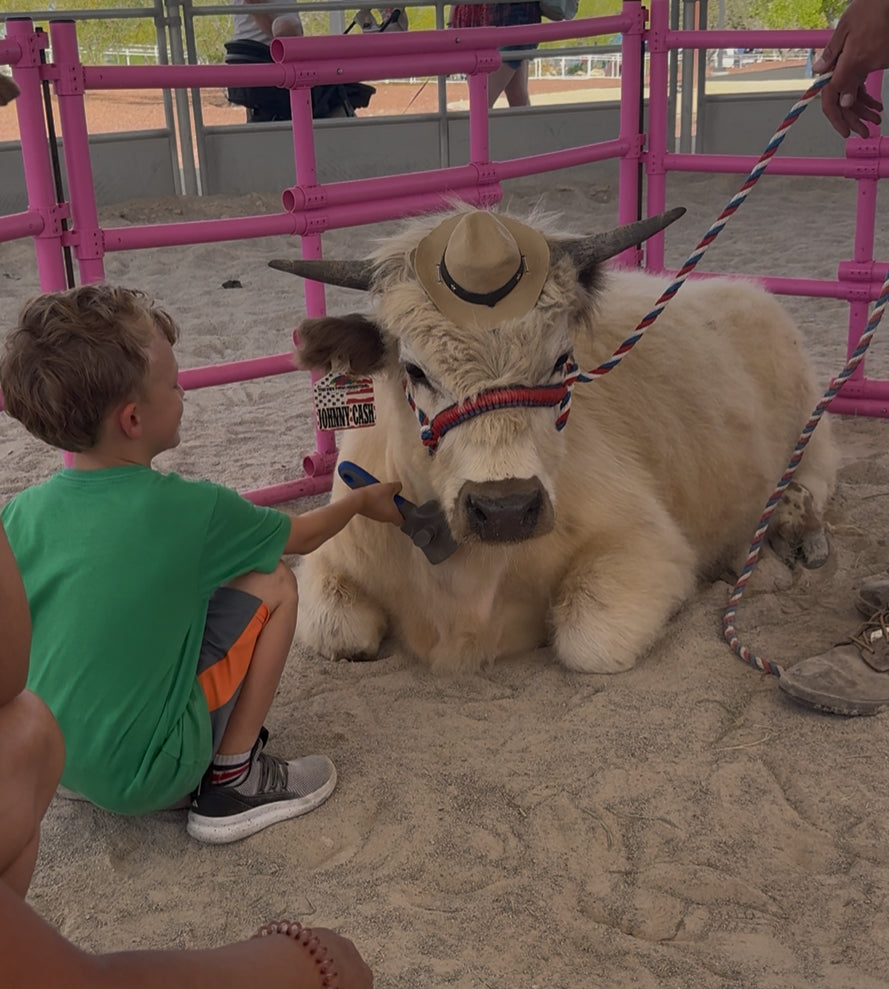 Cow Cuddles on the Go Experience (4 Hours)