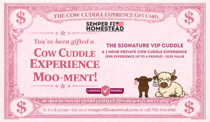 Cow Cuddle Experience Gift Certificate