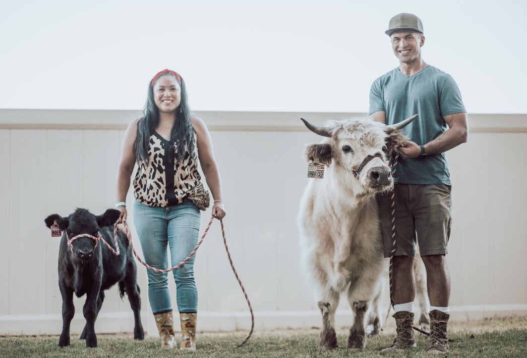1 hour Cow Handling for Photoshoots