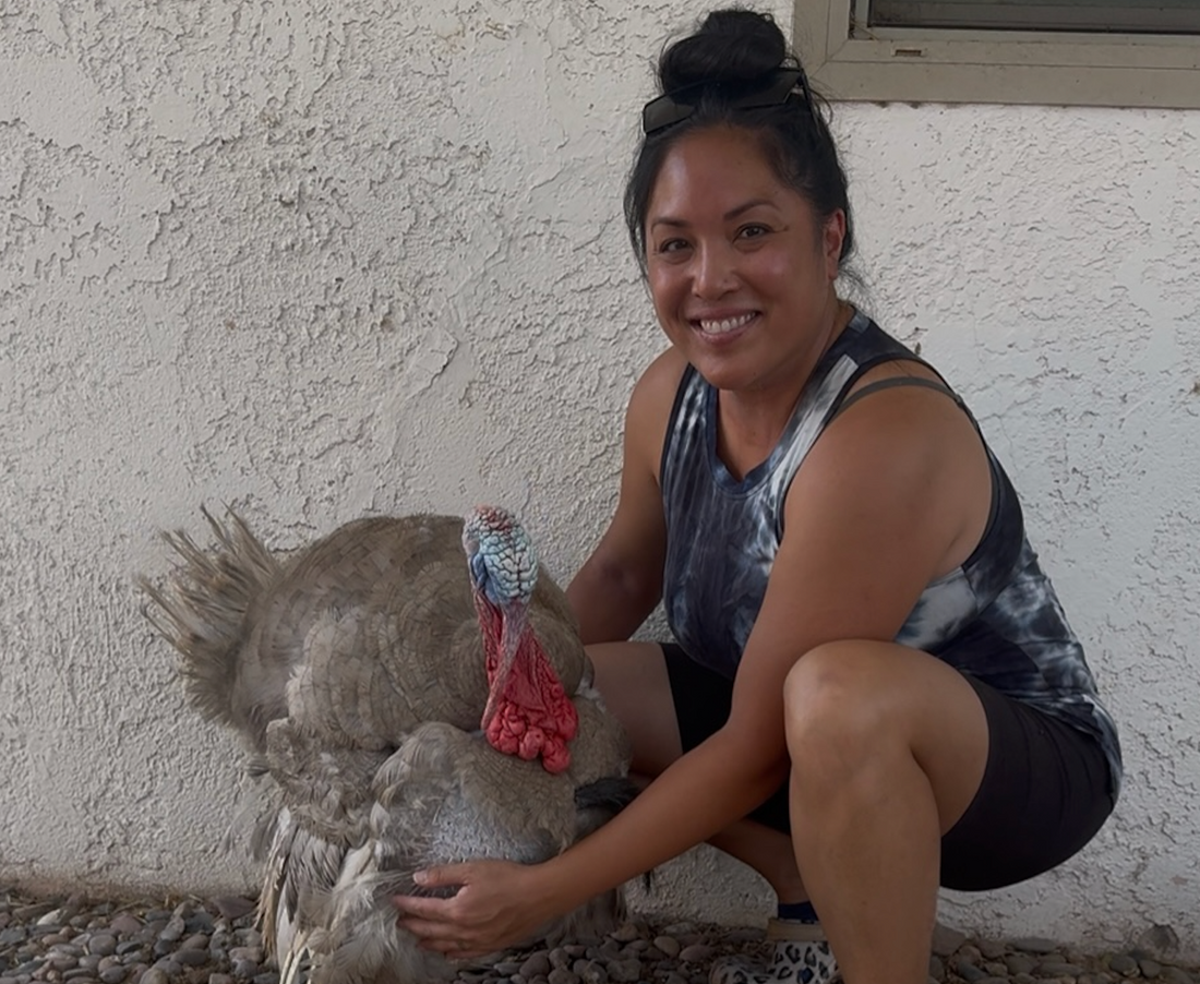Looking to homestead in Vegas with chickens or livestock? READ THIS FIRST!