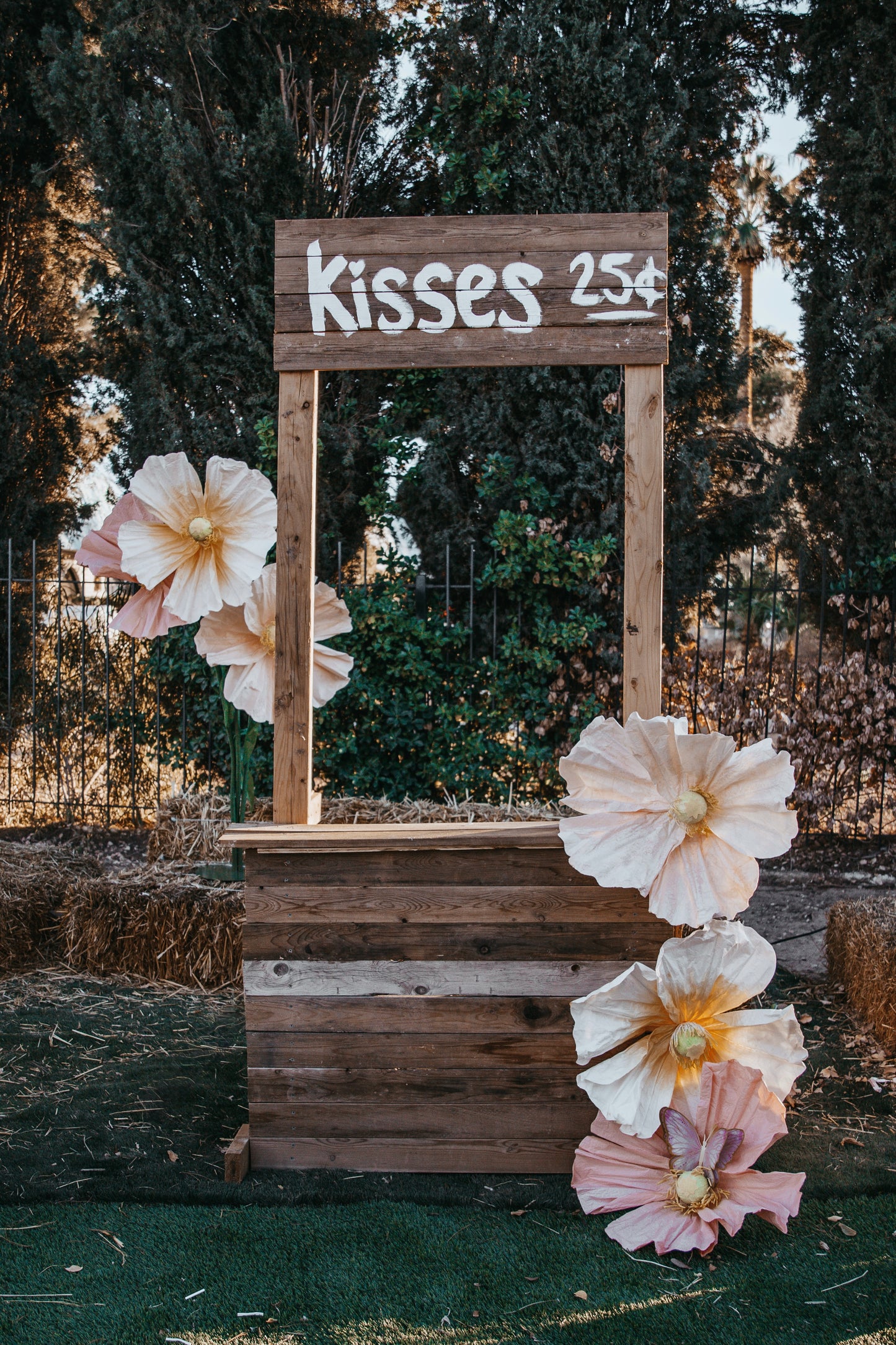 Viva Valentine’s Mini Moo Cow Cuddle Photo Experience with Three Cows | Las Vegas | 15 Minutes