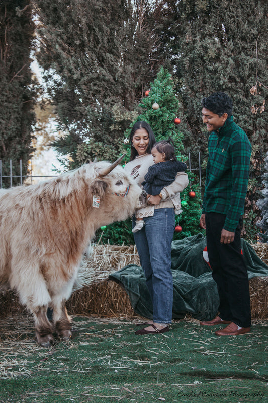 The Ultimate Vegas High Roller Cow Cuddle Experience - 90 Minutes | (Per Experience Up to 6 people)