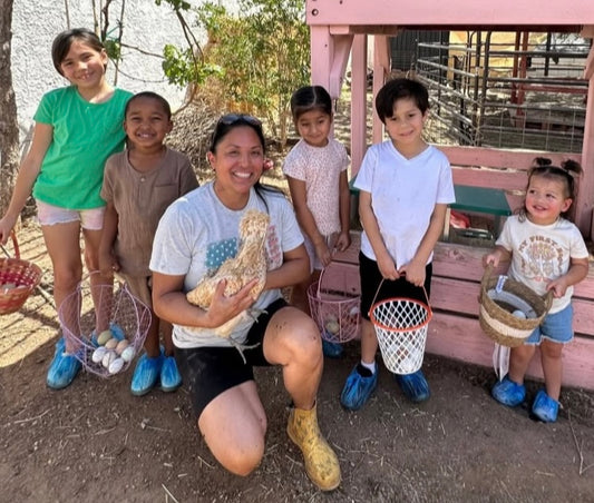 By Donation Home School Farm Chores Experience