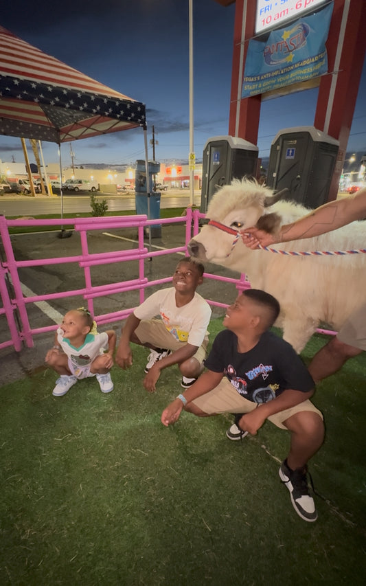 Cow Cuddling on the Go Experience (3 Hours)