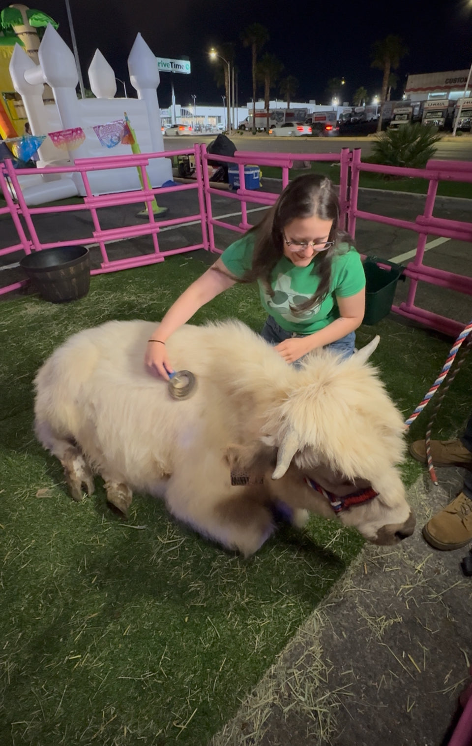 Cow Cuddles on the Go Experience (2 Hours)