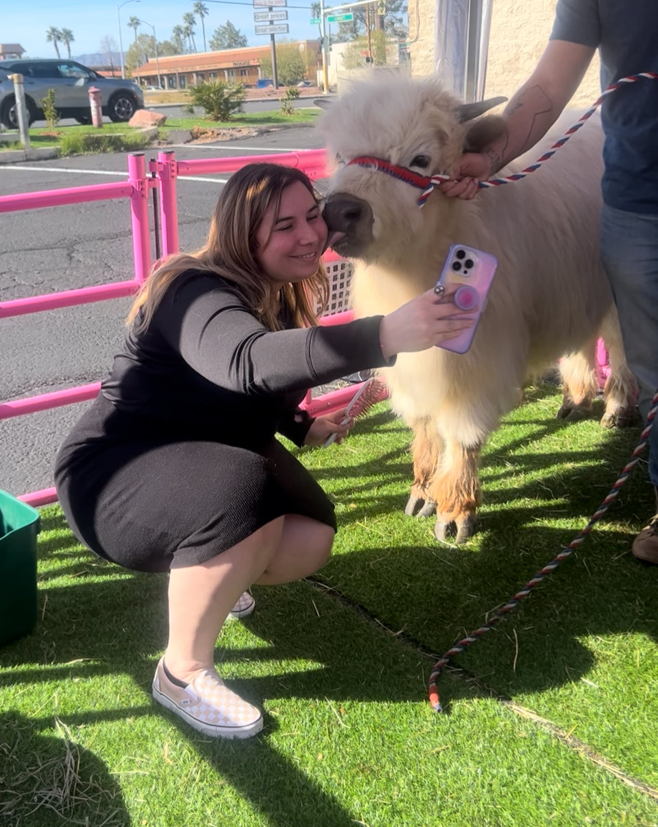 Cow Cuddles on the Go Experience for LARGE EVENTS (Festivals, Fairs, Weddings, & etc)