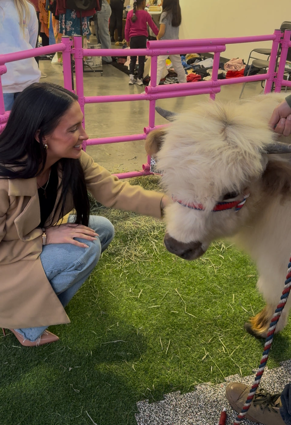 Cow Cuddles on the Go Experience for LARGE EVENTS (Festivals, Fairs, Weddings, & etc)