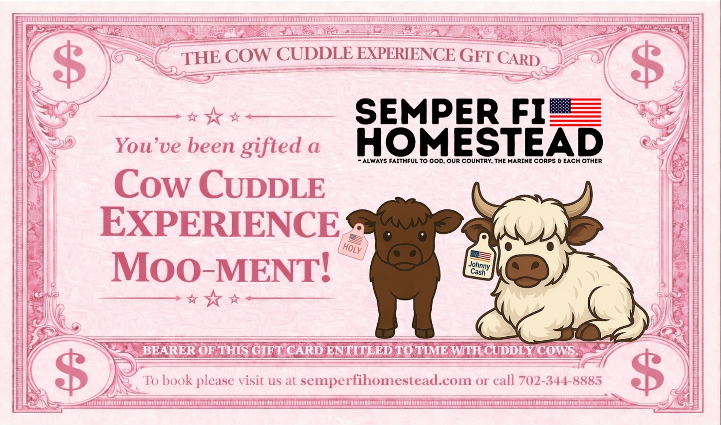 Cow Cuddle Experience Gift Card