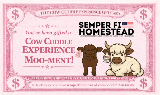 Cow Cuddle Experience Gift Card