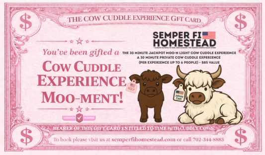 Cow Cuddle Experience Gift Certificate