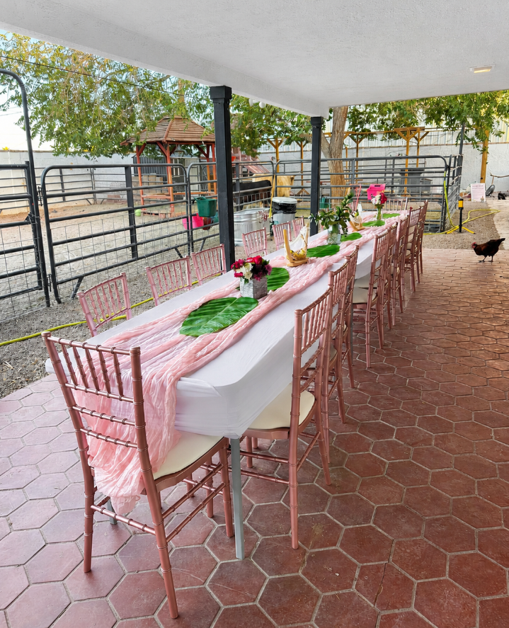 CALL TO BOOK! TEAM BUILDING Corporate COWlebration 2 hour event with The Banana Bungalow