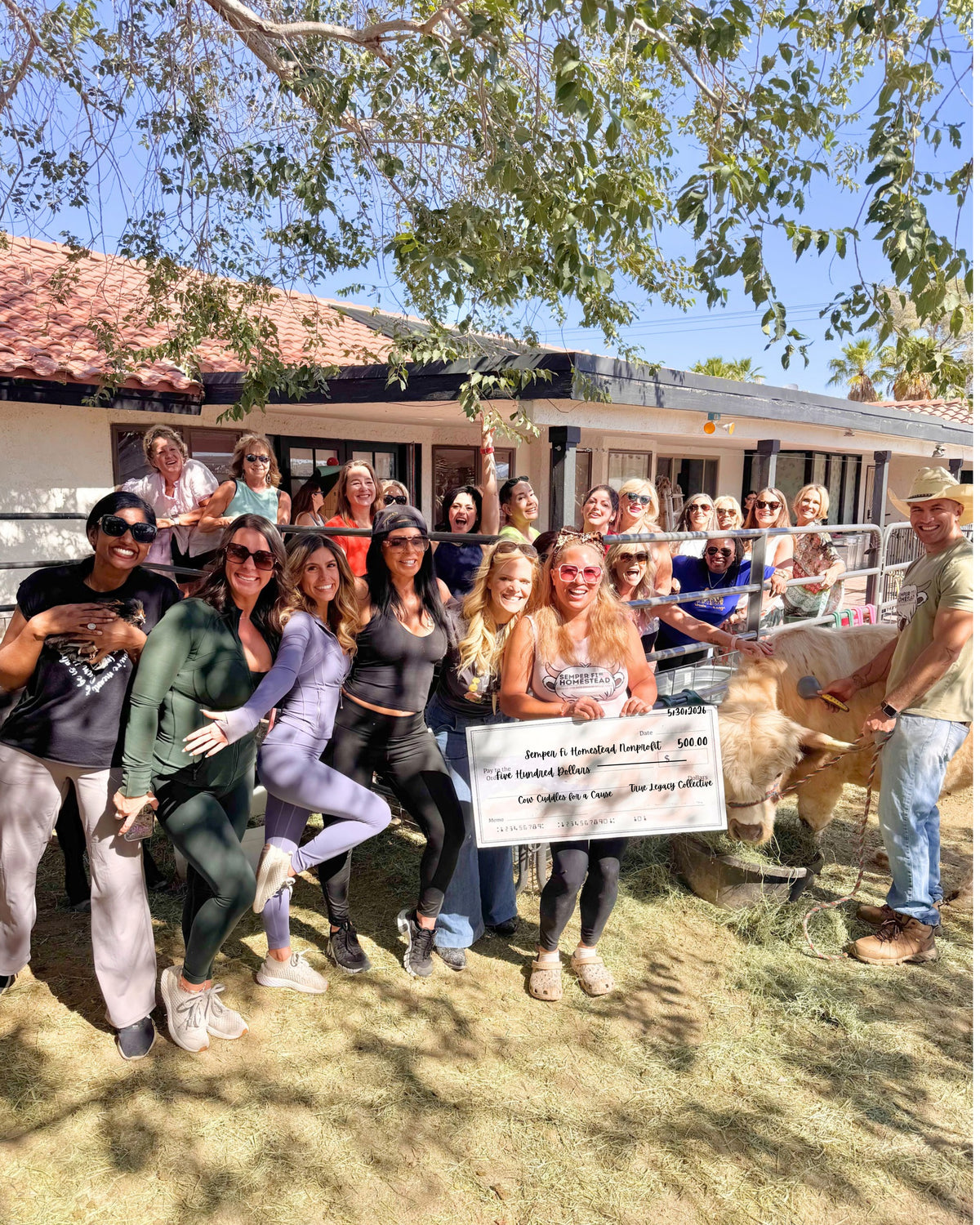 CALL TO BOOK! TEAM BUILDING Corporate COWlebration 2 hour event with The Banana Bungalow